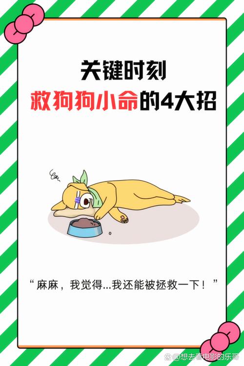 《我被自家狗狗意外锁住,原因与解决策略》