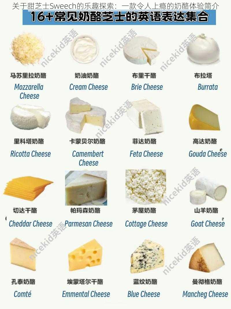 关于甜芝士Sweech的乐趣探索:一款令人上瘾的奶酪体验简介