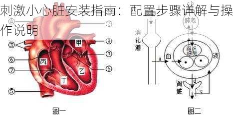 刺激小心脏安装指南:配置步骤详解与操作说明
