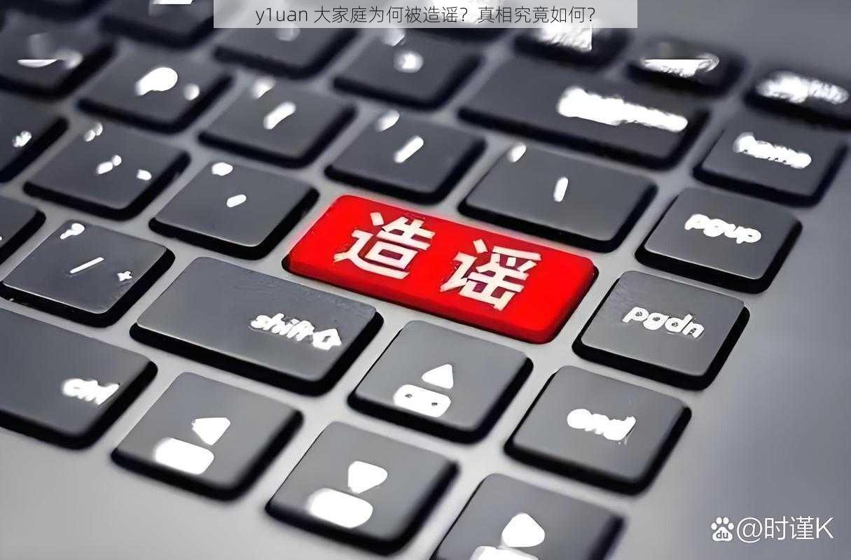 y1uan 大家庭为何被造谣?真相究竟如何?