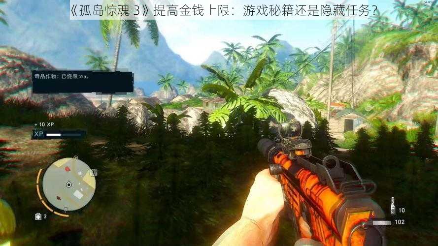 《孤岛惊魂 3》提高金钱上限:游戏秘籍还是隐藏任务?