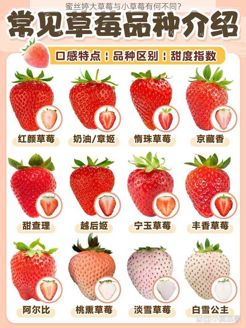 蜜丝婷大草莓与小草莓有何不同?